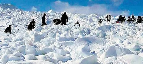 Siachen Glacier melting slower than others in Himalayas