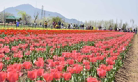 Image used for representation.