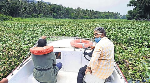 A speed boat that was blocked due to uncontrolled growth of hyacinth in Veli lake in Thiruvananthapuram on Tuesday | Vincent Pulickal