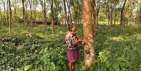 Image for representational purpose only. ( File | EPS)