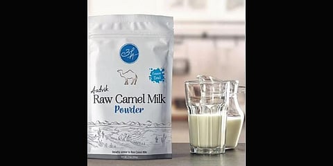 Aadvik Raw Camel Milk powder