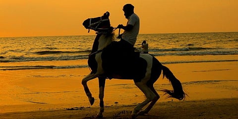 For representational purposes (Photo | EPS)