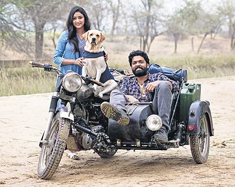 A still from the 777 Charlie