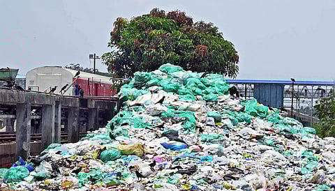 (Photo | Vincent Pulickal, EPS)