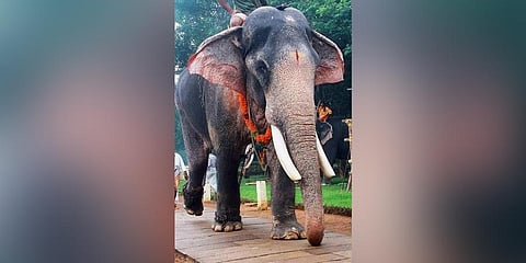 Thiruvambady Kuttisankaran