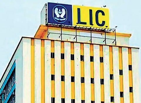 25% public holding in LIC to take time: Govt