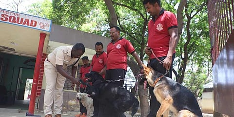Cop dog 'Simba' gets pat from Vellore SP for sniffing out smugglers