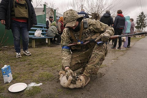 A Ukrainian serviceman tries unsuccessfully to convince a puppy to drink milk as residents wait for distribution of food products in the village of Motyzhyn. (Photo | AP)