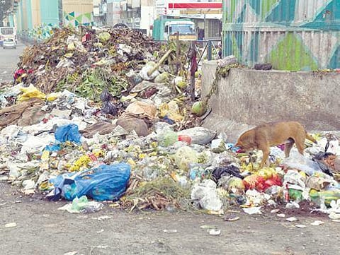 Decentralised management of bulk waste need of the hour: BBMP chief