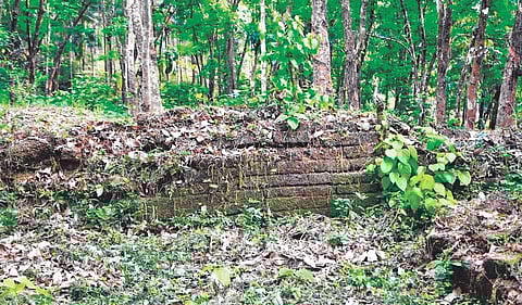 The neglected compound in memory of Mannanar dynasty. There was a building there that crumbled down years ago