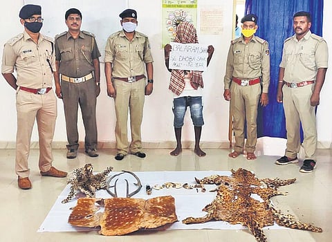 Accused Balaram Sahu and the wildlife items seized from his house | Express