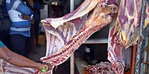 Slaughterhouse (Photo | EPS)