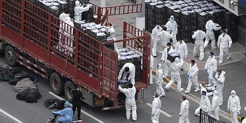 Workers in PPE unload groceries from a truck before distributing them to local residents under the COVID-19 lockdown in Shanghai, China, on April 5, 2022. (Photo | AP)