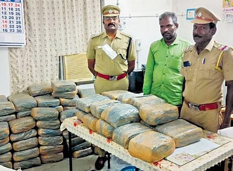 The 260-kg of Ganja seized near Arukatuthurai. (Photo| EPS)