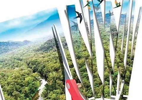 Kerala wants Centre to redraw eco-sensitive zone