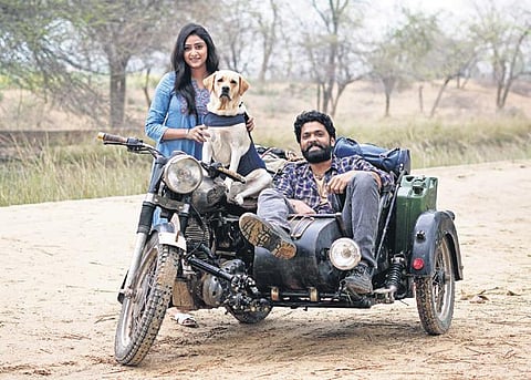 A still from 777 Charlie