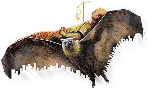 Nipah alert in Kerala, health department to increase monitoring in all districts