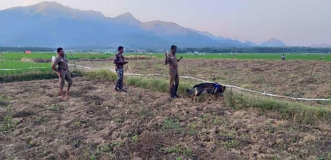 Image for representational purpose only. ( File | EPS)