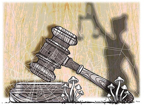 Applying fuzzy logic in criminal justice can be hazardous