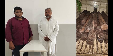 1.5 tonnes of Red Sanders worth over Rs 60.18 lakh were seized from Shaik Mohammed Rafi and Mulla Basheer Amhed.