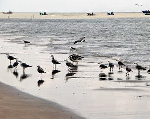 Image used for representational purpose only. (File Photo)