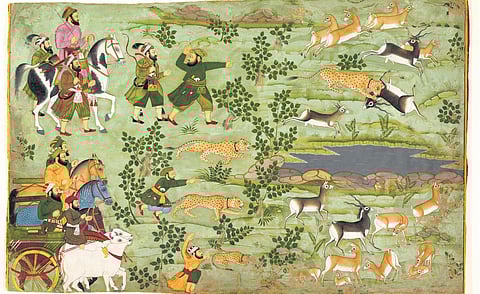 Shah Jahan Hunting Blackbuck with trained cheetahs, c 1710-15, ink, gold and opaque watercolour on paper. Pic courtesy: MAP