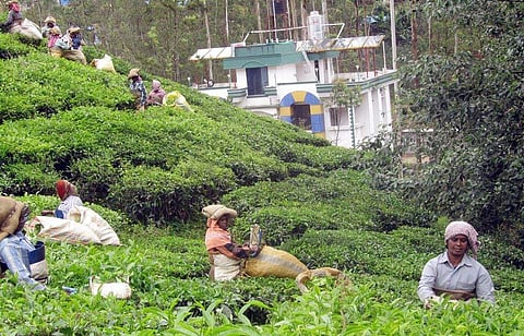 Image used for representational purpose only. (File Photo | EPS)