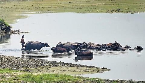Yamuna nearly dried up, supply from water treatment plants down by 40 per cent