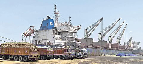 Wheat export: No bar on sanctioned orders