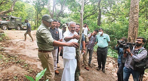 Forest Minister A K Saseendran inspecting an infected sandalwood tree at Marayur Sandalwood Reserve | Express