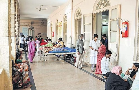 Image for Representational Purpose Only.