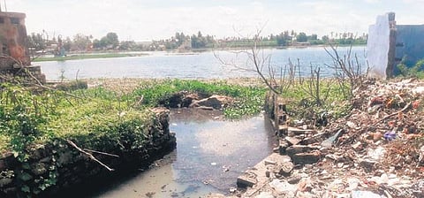 A polluted stretch of the Cauvery in Namakkal | file photo