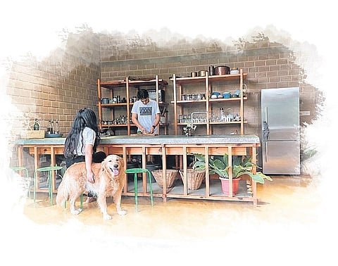 Shalini Chandrashekar’s open kitchen home