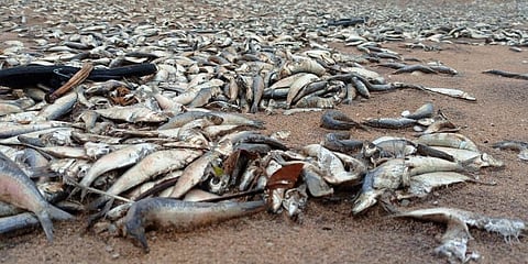 For representational purposes (Photo | EPS)