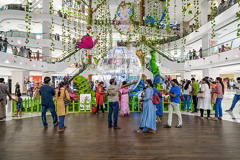 In a winged wonderland