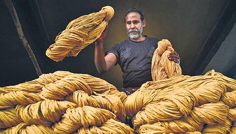 Workers make only Rs 500-600 a day as wage for a 10-hour shift | FILE PHOTO