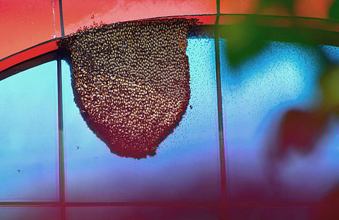 Image for representational purpose only. ( File | EPS)