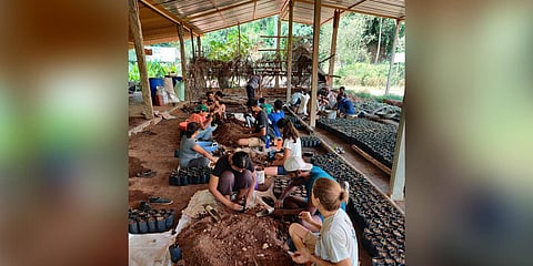 Volunteering work at Varanashi Organic Farms. (Photo | EPS)