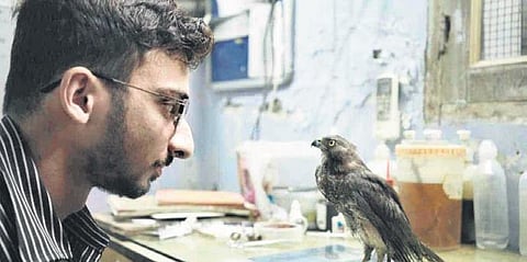 A still from All That Breathes . (File Photo)