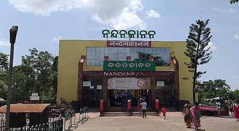 Nandankanan Zoological Park (Photo | EPS)