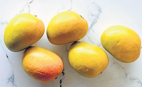 Image used for representational purpose only. (File Photo)