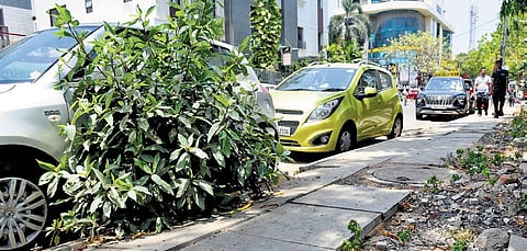 Khader Nawaz Khan Road will be converted into a pedestrian plaza | R Satish Babu