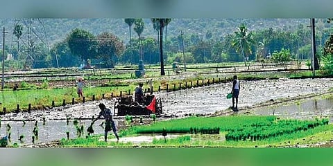 Image used for representational purposes only