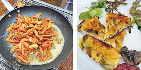 Mushrooms being sauteed(L), A meal made from foraged greens, weeds, and mushrooms (R).