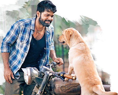 A still from 777 Charlie. (File Photo)