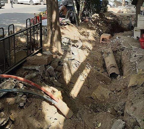 The damaged trees at south Delhi’s Hauz Khas-Agust Kranti Marg stretch. (Photo | Express)