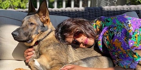 Actor and producer Priyanka Chopra with her German shepherd (Photo | Express)