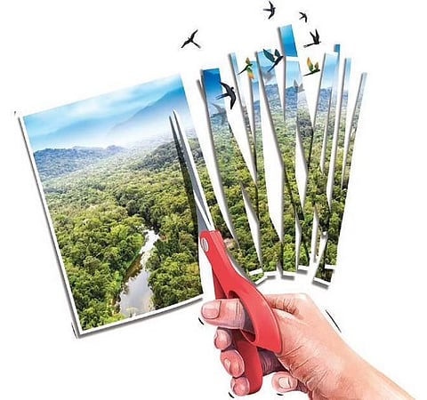 SC order on eco-sensitive zone creates unrest in Kerala's high range