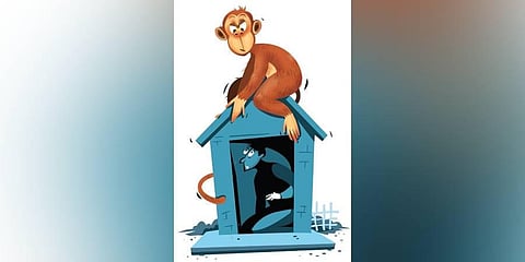 Image used for representational purpose only. (Express illustrations Sourav Roy)