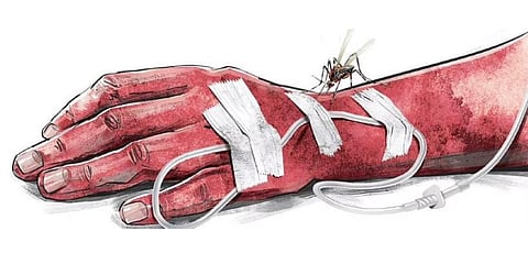 Image used for representation.